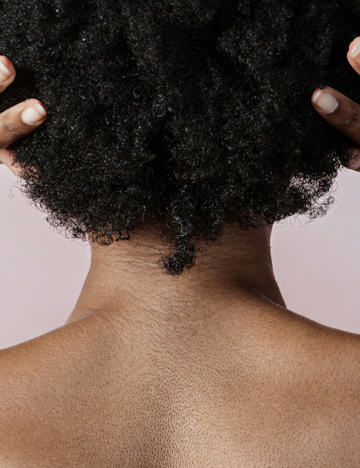 Woman's hands placed around sides of short black afro from behind close up