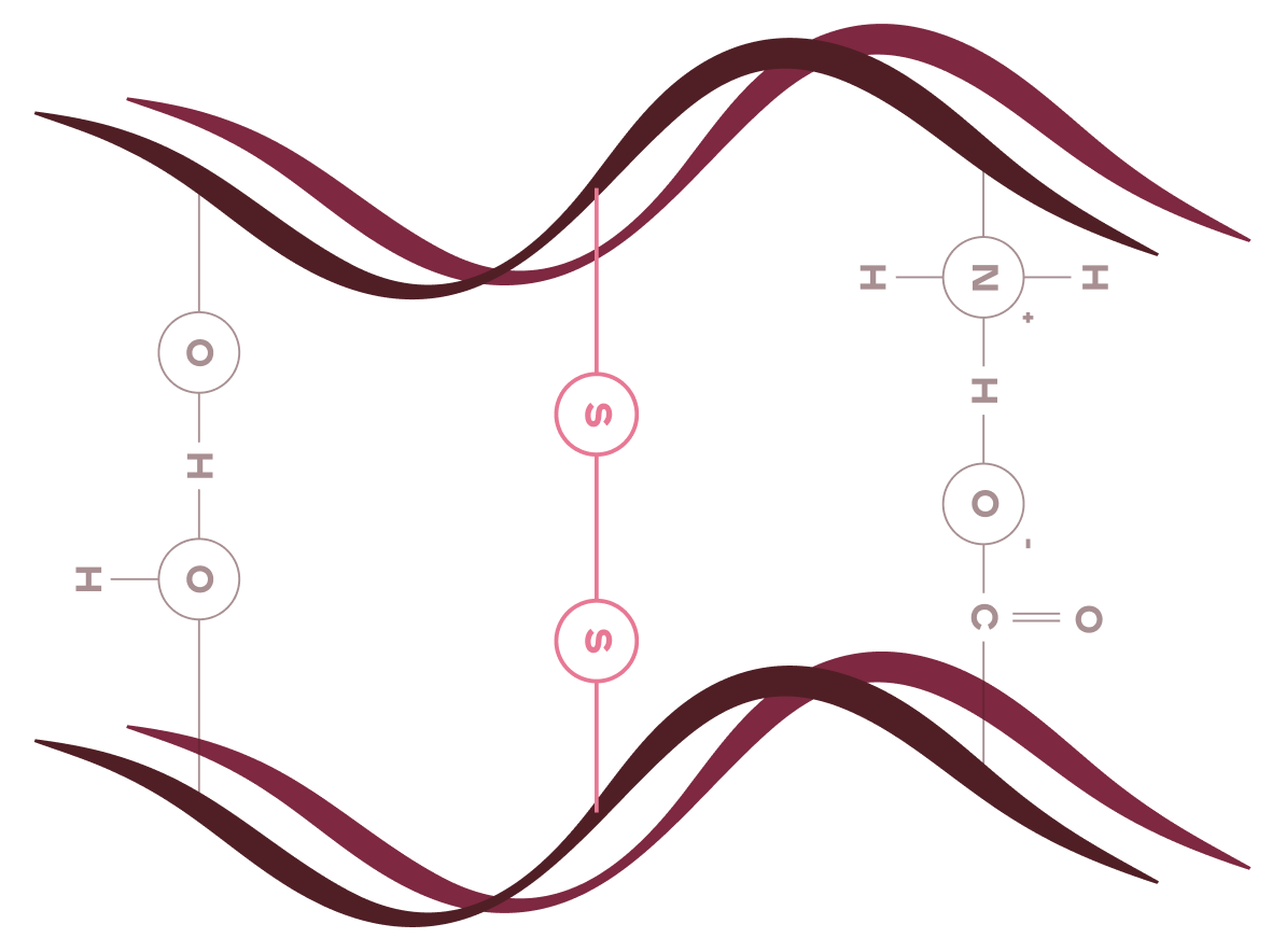 Disulfide Bonds