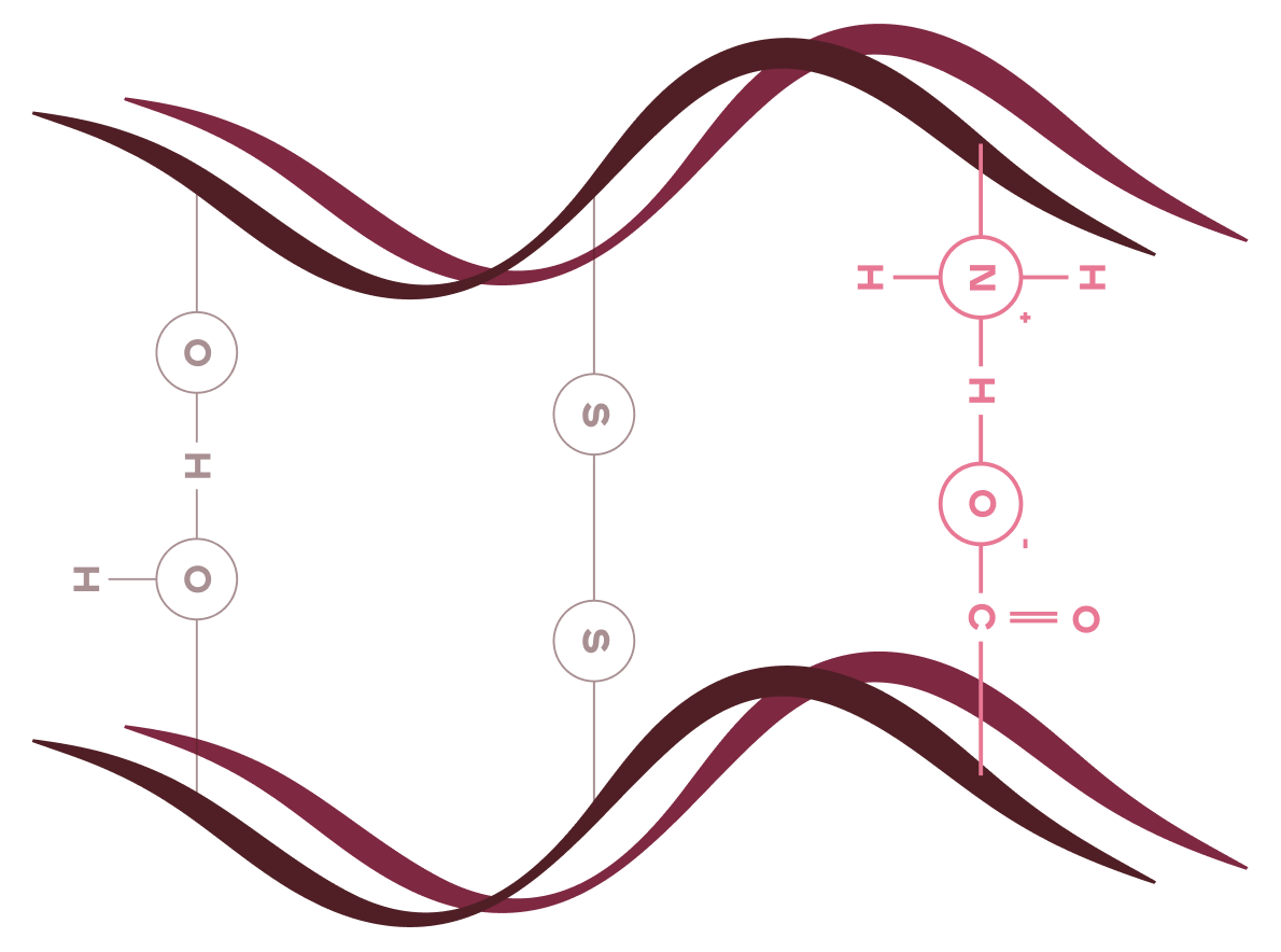 Ionic Bonds