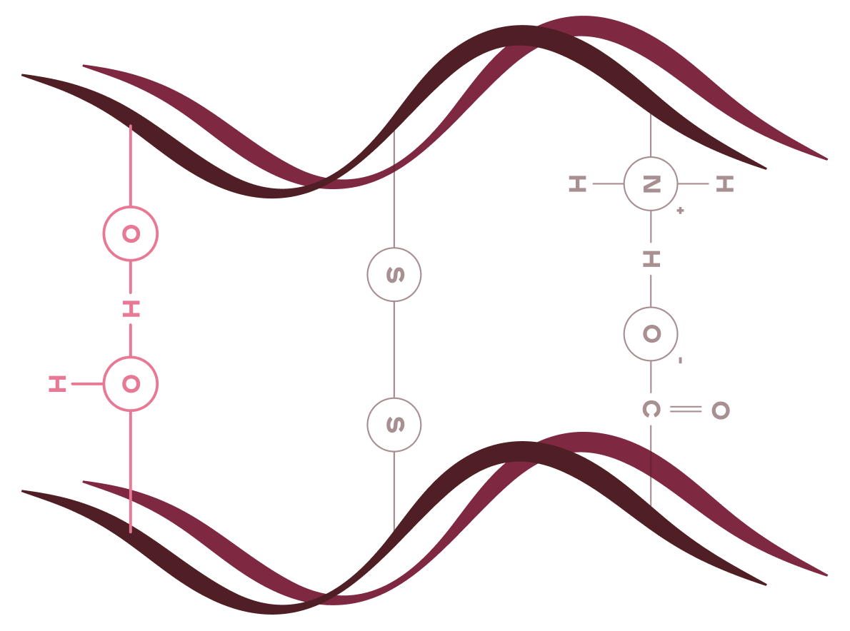 Hydrogen Bonds